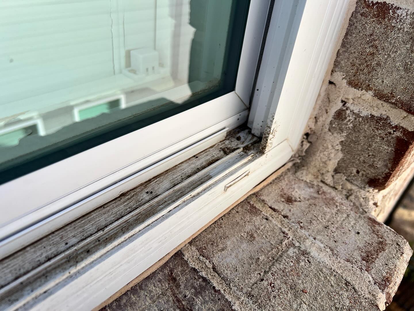 Window track full of dirt and debris, ready for a deep clean
